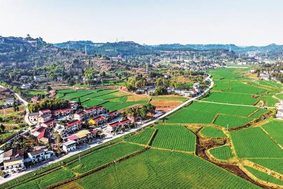 广安市广安区：和美乡村入画来
